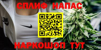 дживик Ставрополь