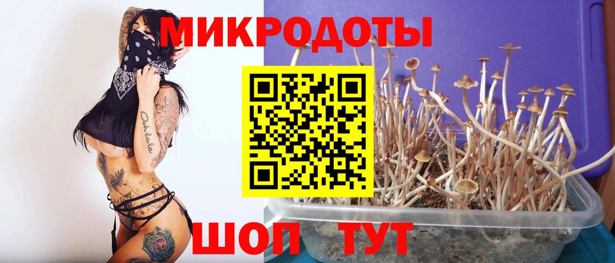 Псилоцибиновые грибы прущие грибы Белорецк